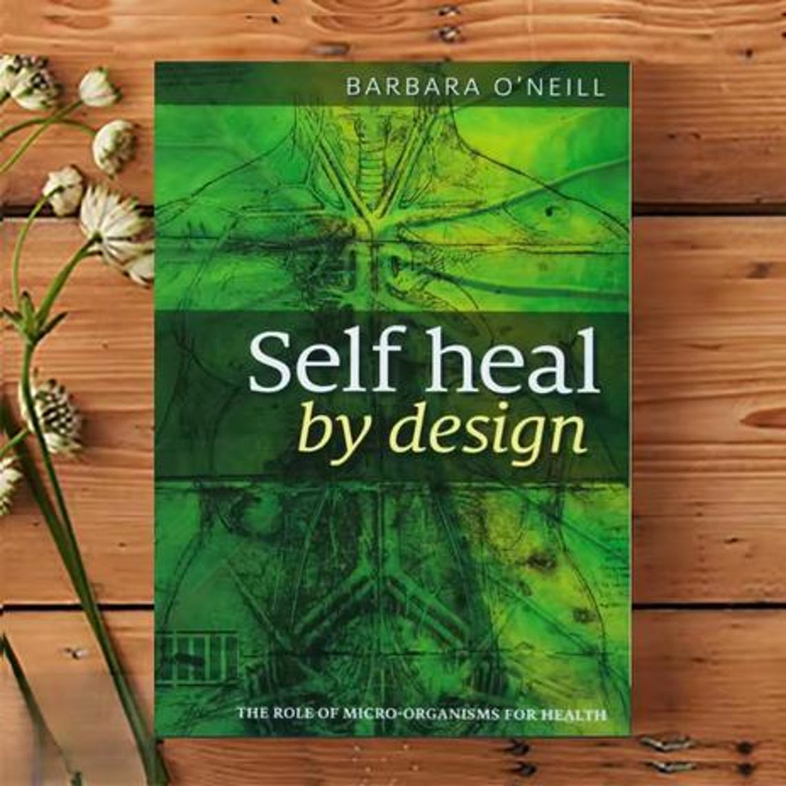 Self Heal by Design by Barbara O'Neill Instant Digital Download